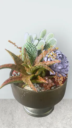 Aloe   Cacti w/ Lavender Dried Floral & Rust Sands