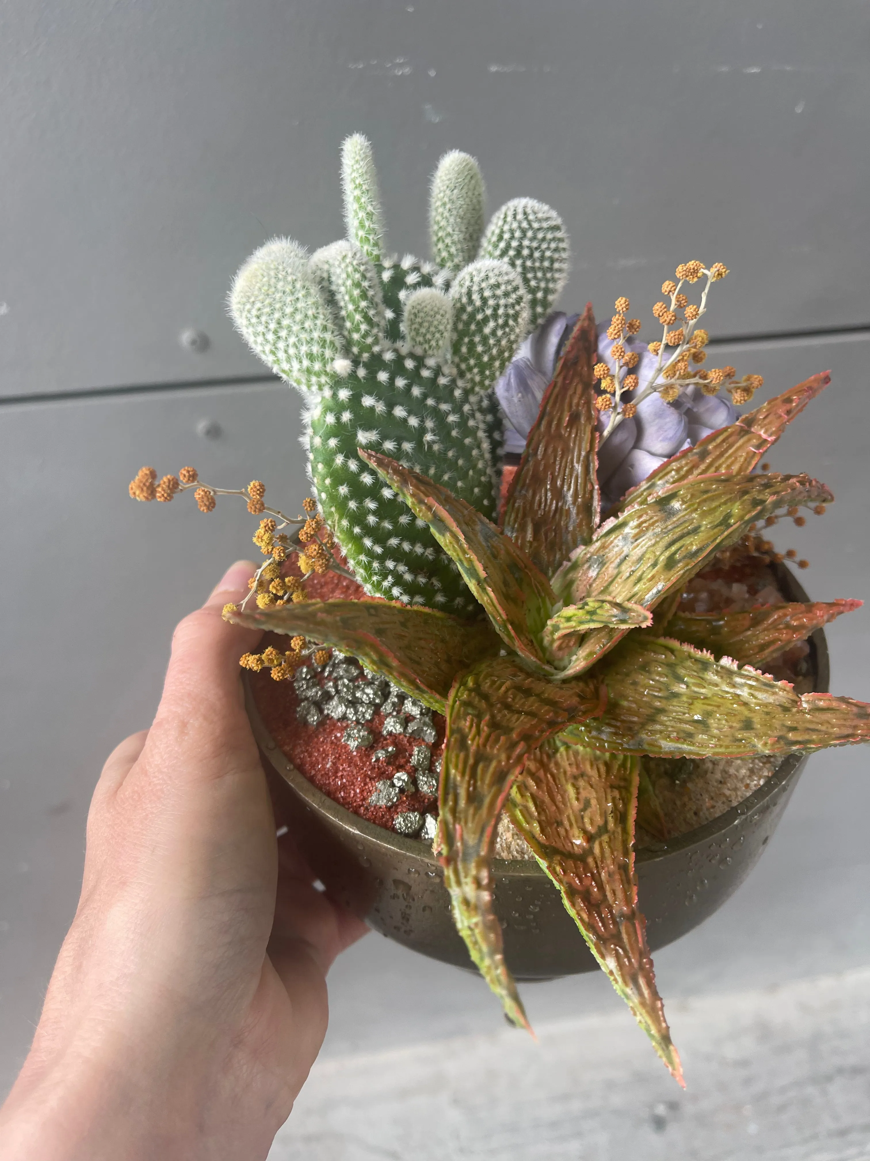 Aloe   Cacti w/ Lavender Dried Floral & Rust Sands