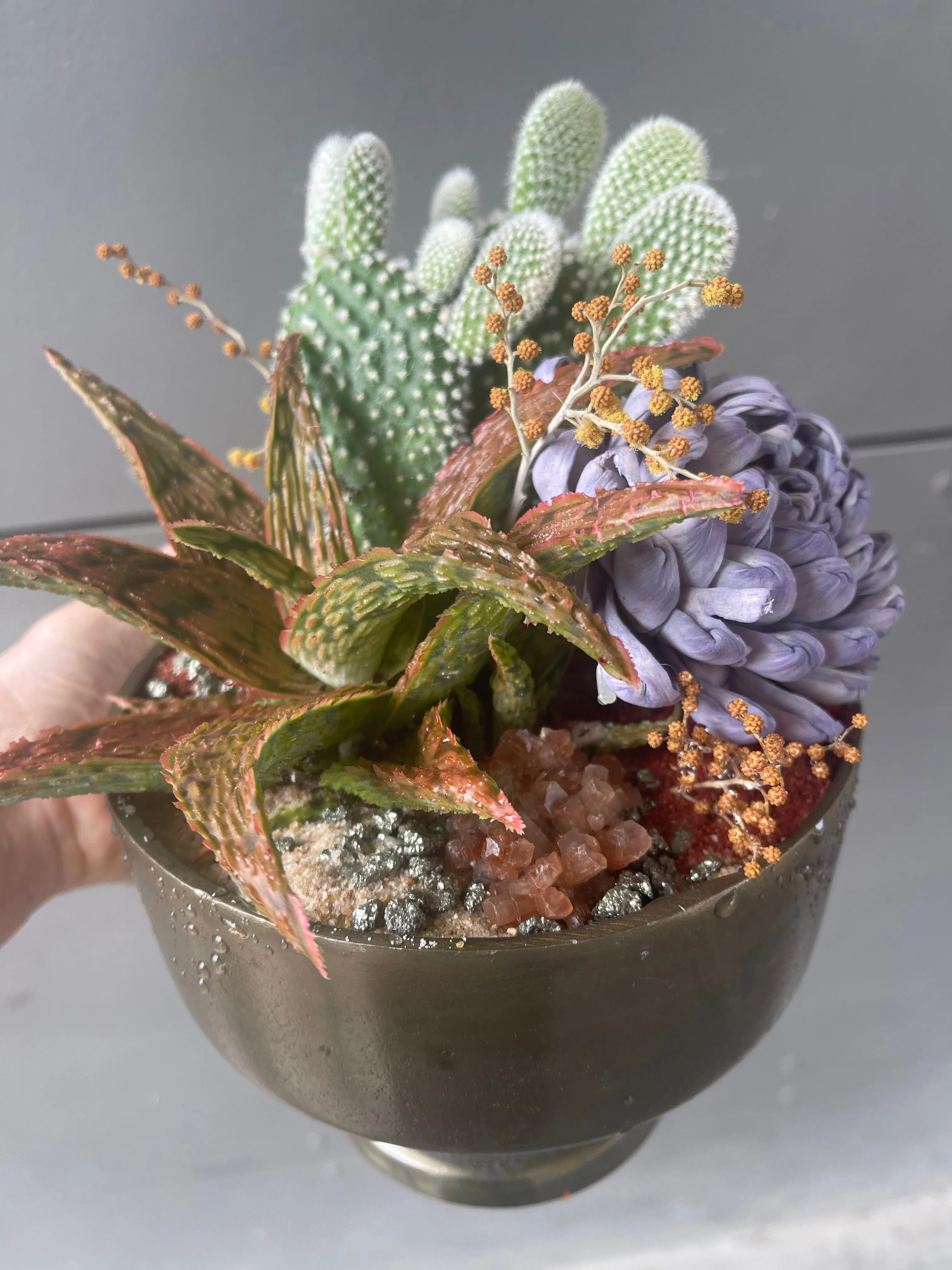 Aloe   Cacti w/ Lavender Dried Floral & Rust Sands