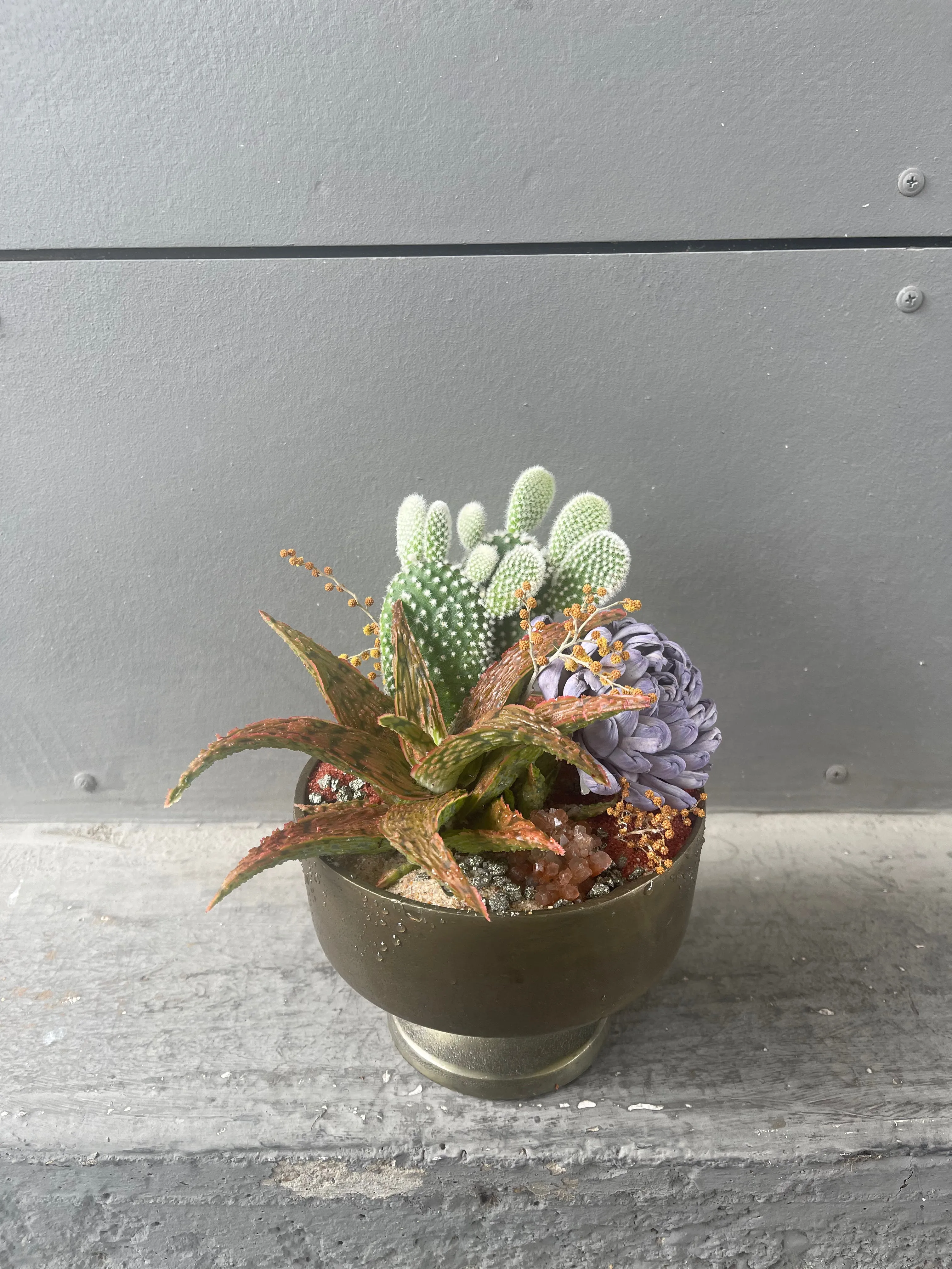 Aloe   Cacti w/ Lavender Dried Floral & Rust Sands