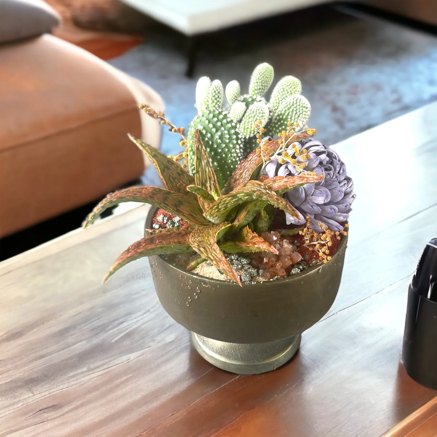 Aloe   Cacti w/ Lavender Dried Floral & Rust Sands