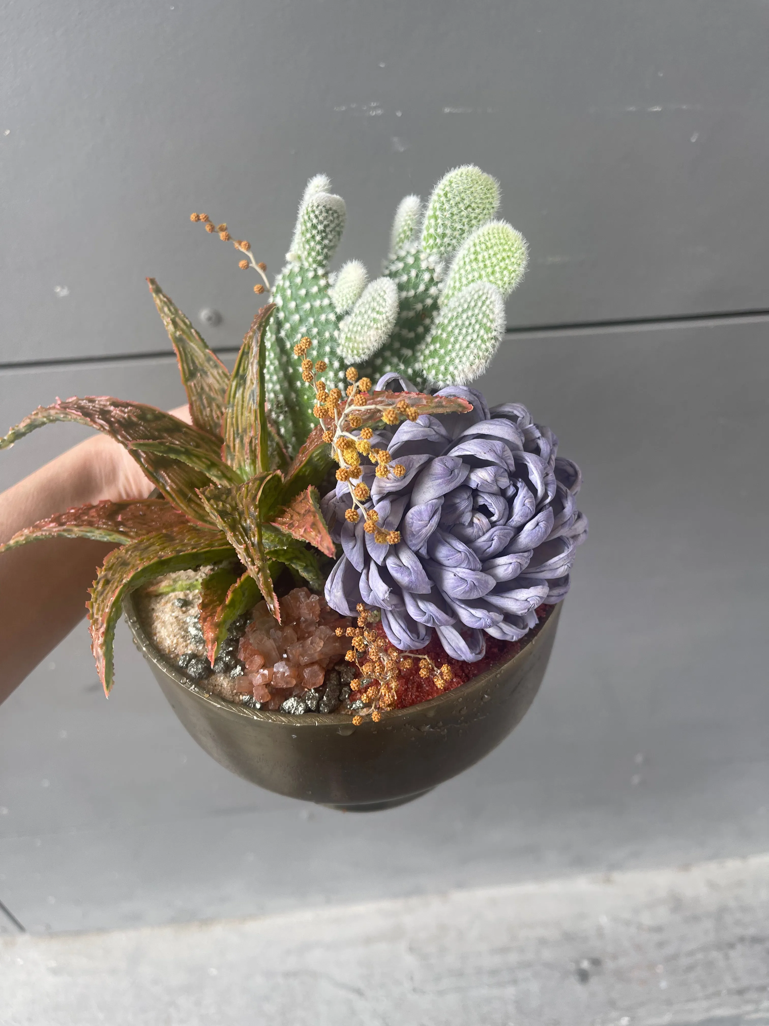 Aloe   Cacti w/ Lavender Dried Floral & Rust Sands
