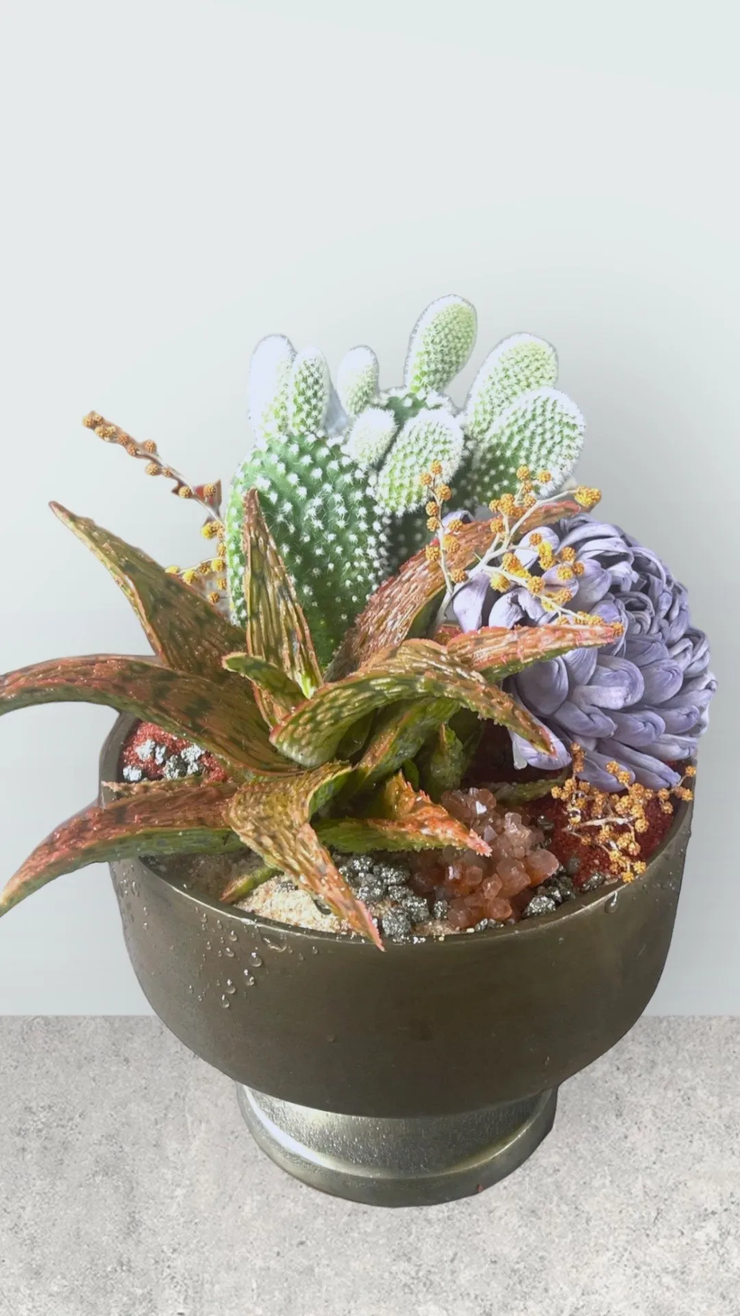 Aloe   Cacti w/ Lavender Dried Floral & Rust Sands