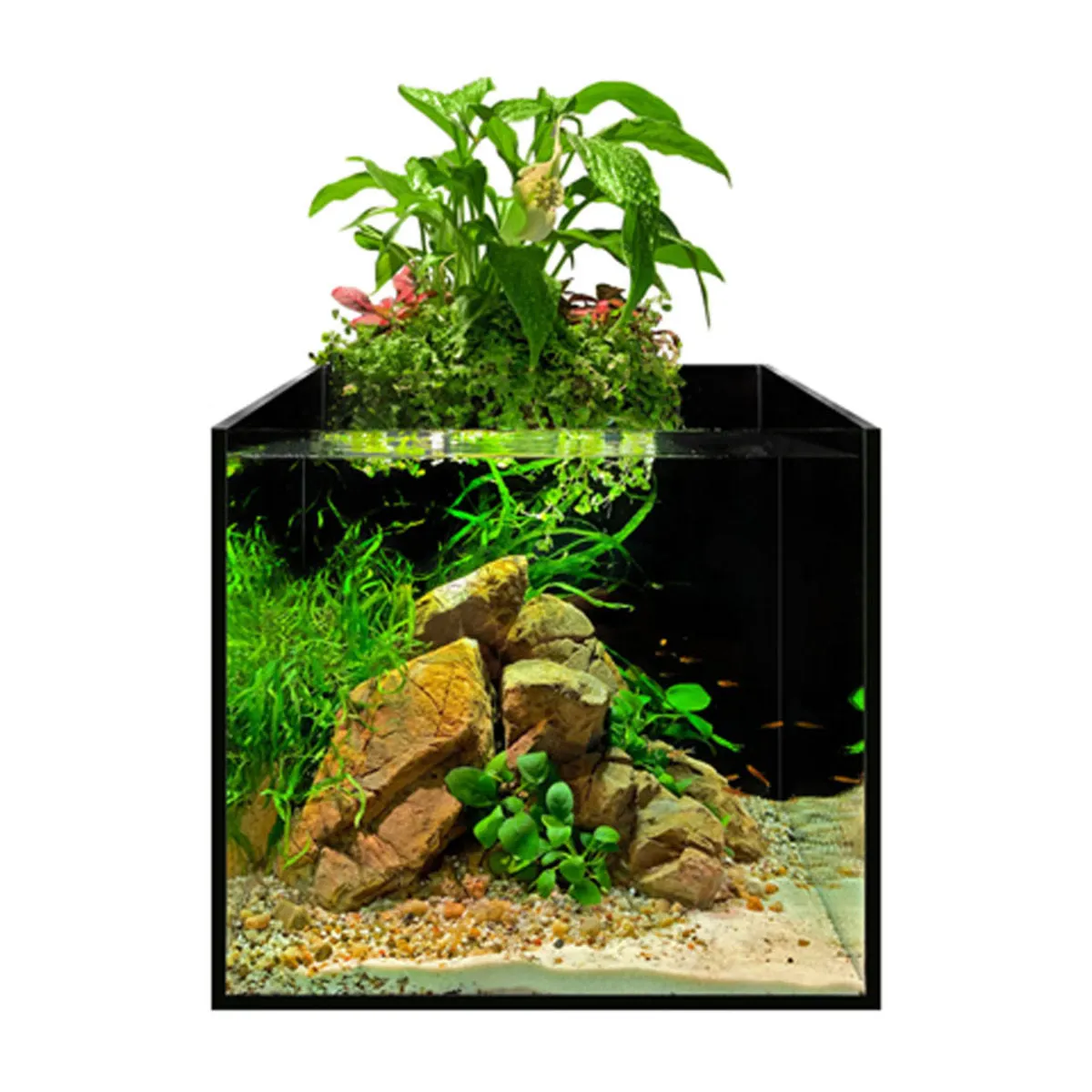 AQUA LIGHTER Afarm 13L