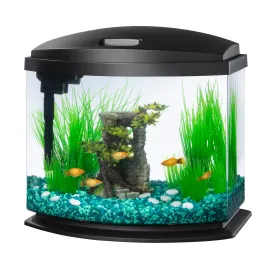 Aqueon LED MiniBow™ Kit with SmartClean™ Technology Black - 5 gal