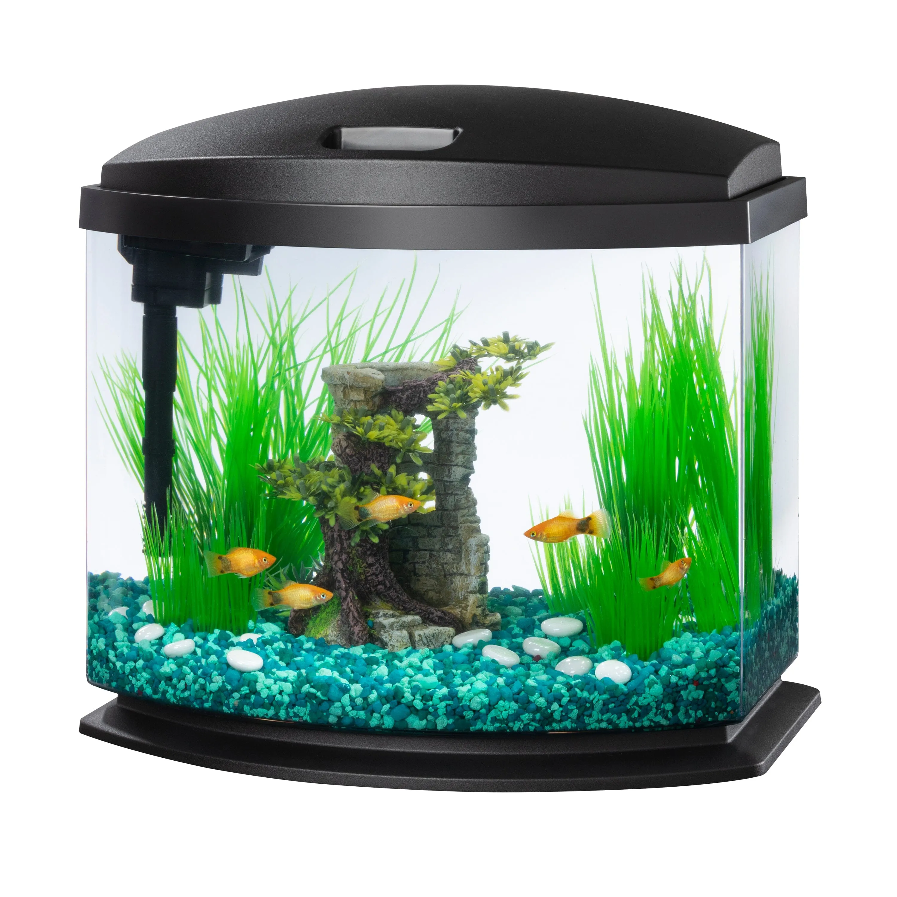 Aqueon LED MiniBow™ Kit with SmartClean™ Technology Black - 5 gal