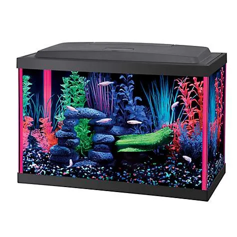 Aqueon NeoGlow LED Aquarium Kit