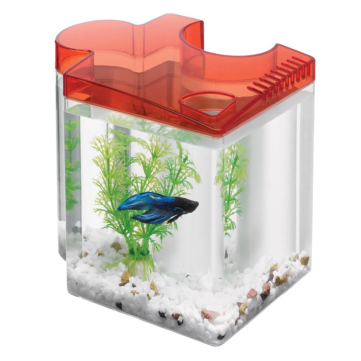 Betta Puzzle Aquarium Kit - Red17