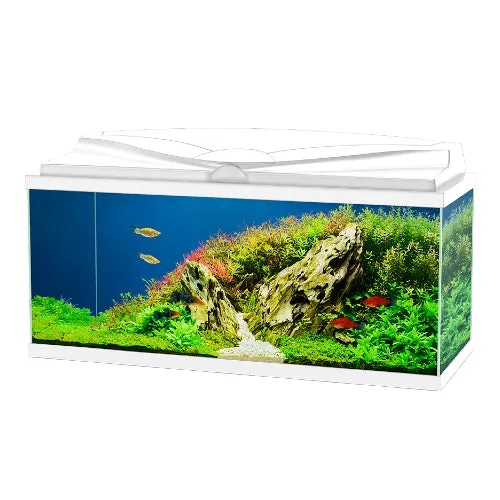 Ciano Aqua 80 LED Aquarium