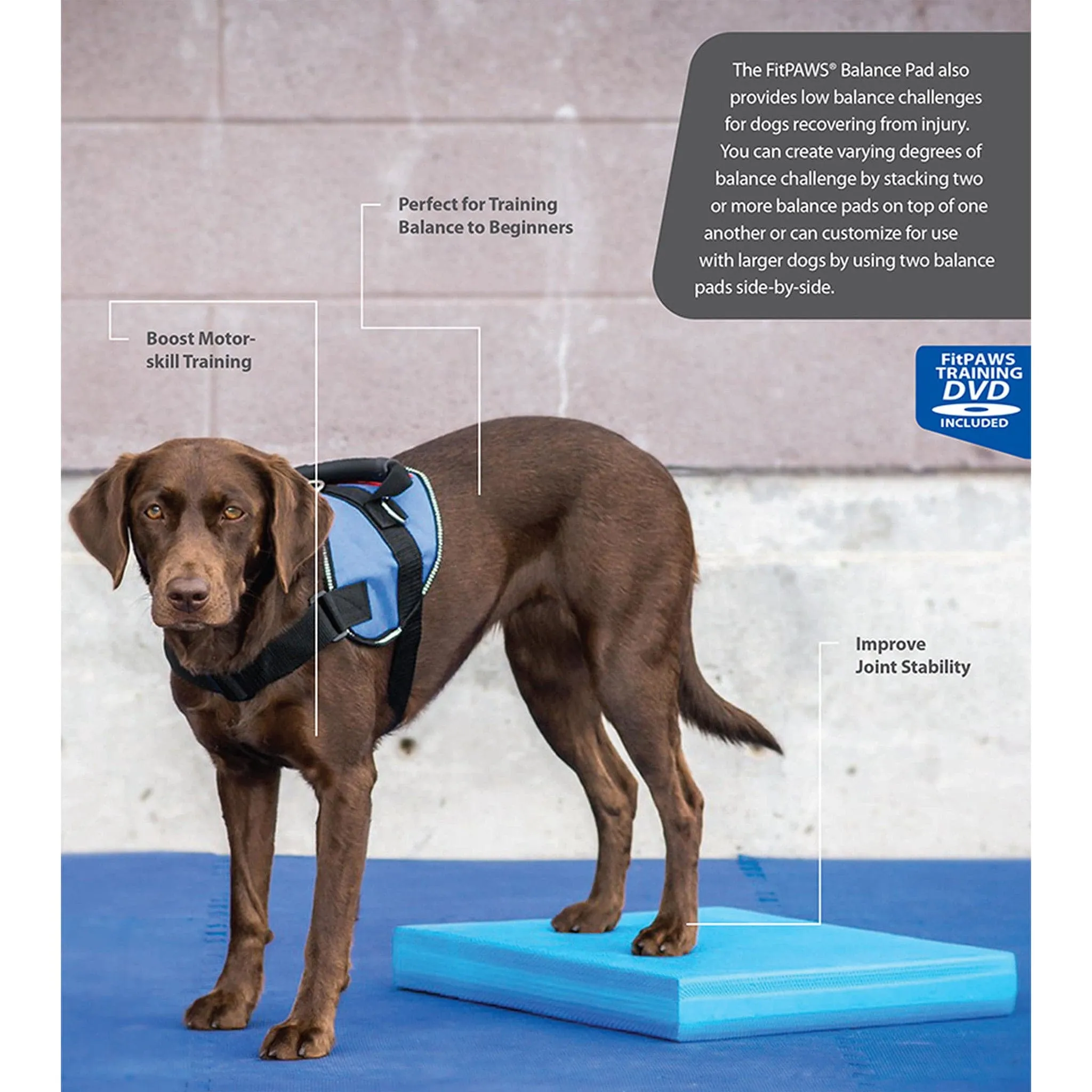 FitPAWS® Balance Pad