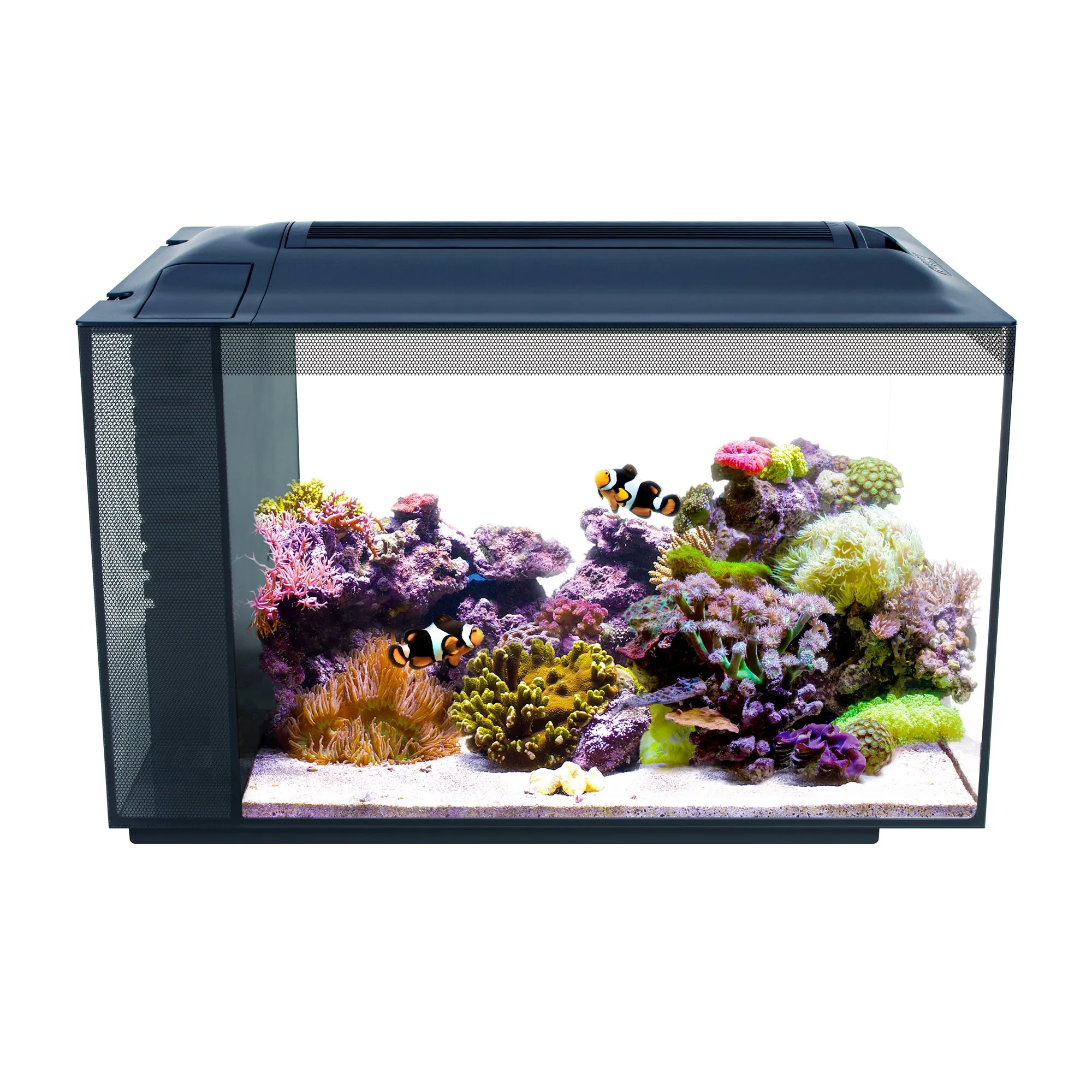 Fluval SEA EVO Aquarium Kit (Special Order Product)