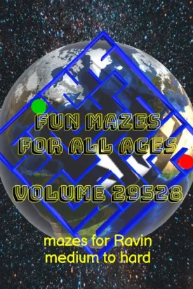 Fun Mazes for All Ages Volume 29528: Mazes for Ravin Ñ Medium to Hard