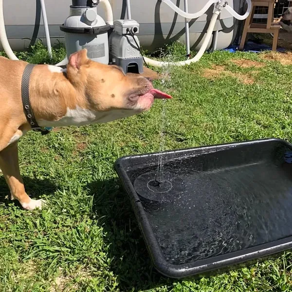 HOT SALE 49% OFF Solar Powered Fountain