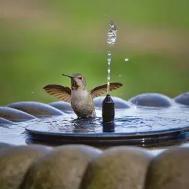 HOT SALE 49% OFF Solar Powered Fountain