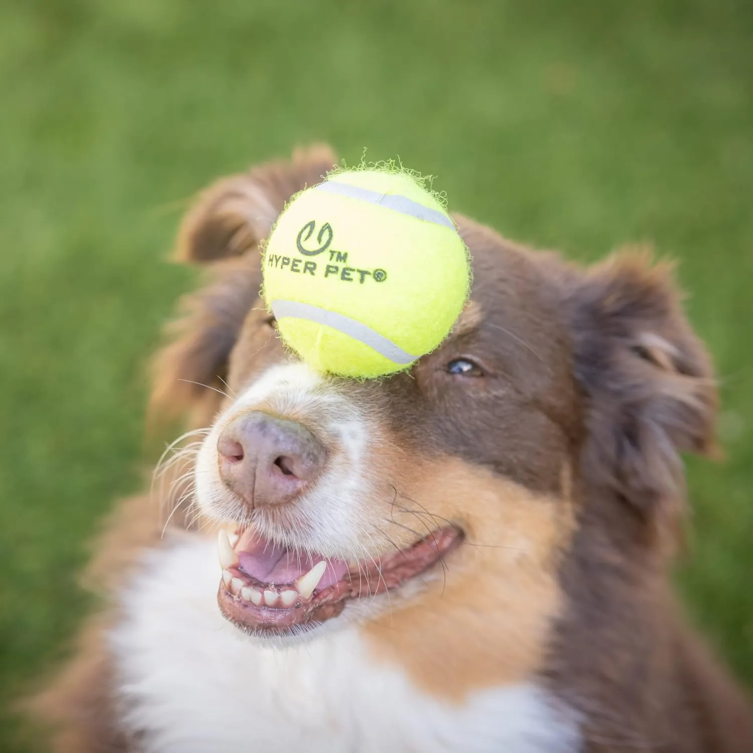 Hyper Pet Tennis Balls for Dogs - 24 Pack 2.5"