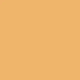 Lee Filters Gel 207 | Full CTO   Neutral Density 0.3, 24in x 21in