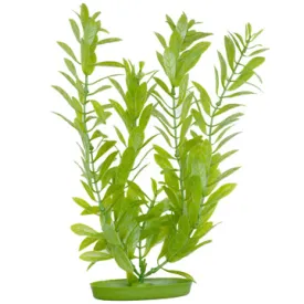 Marina Aquascaper Plastic Plant - Hygrophilia - 20 cm (8 in)