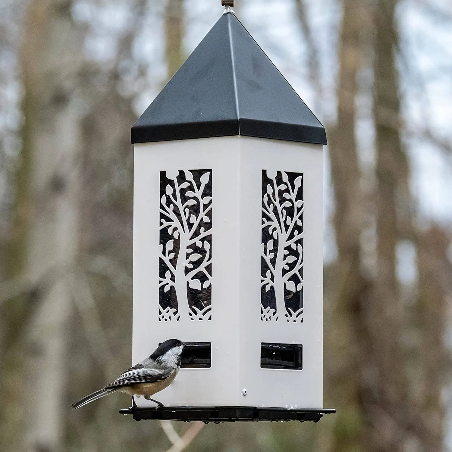 Nature's Way Squirrel Shield Metal Lantern and Squirrel-proof Wild Bird Feeder - White - 2 Qt Cap