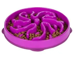 Outward Hound Fun Feeder Slo Bowl