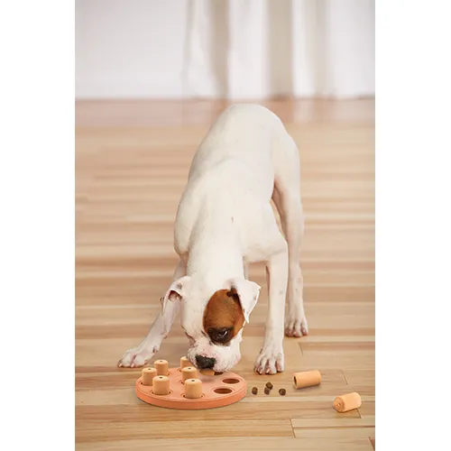 Outward Hound® Nina Ottosson® Dog Smart Composite Dog Puzzle