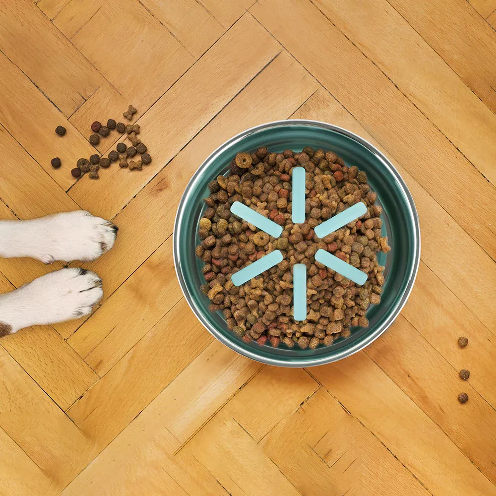 Pawpourri Premium Bowl with Silicone Slow Insert for Dogs and Cats