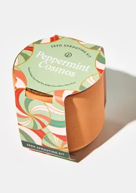 Peppermint Cosmos Tiny Terracotta Kit