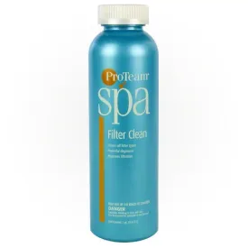 ProTeam - Spa Filter Clean