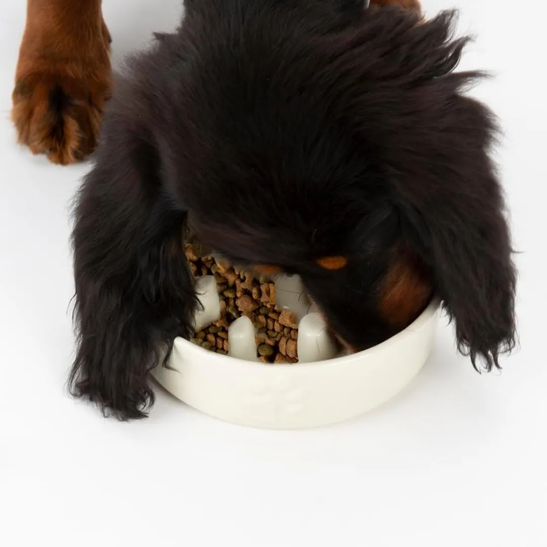 Scruffs Icon Ceramic Slow Feeder Bowl