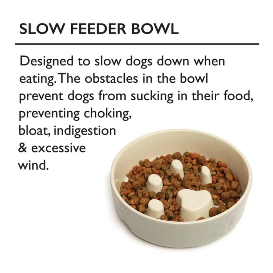 Scruffs Icon Ceramic Slow Feeder Bowl