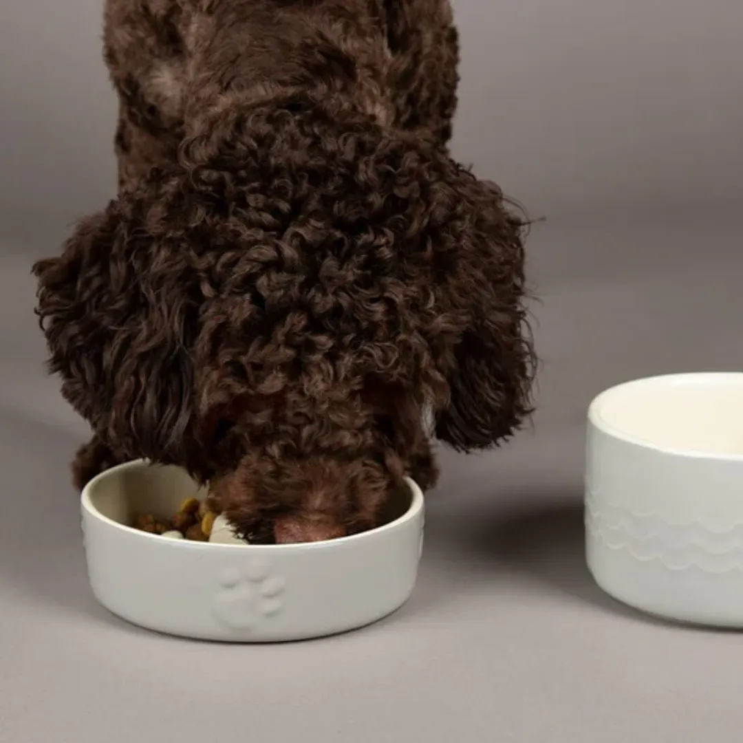Scruffs Icon Ceramic Slow Feeder Bowl