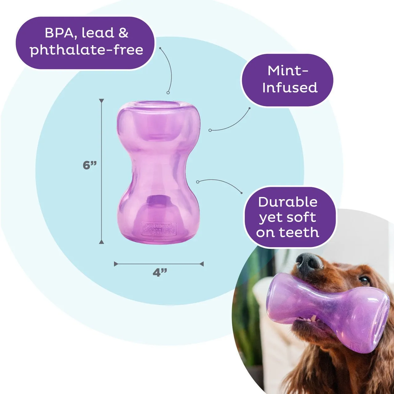 Snoop Treat Dispensers