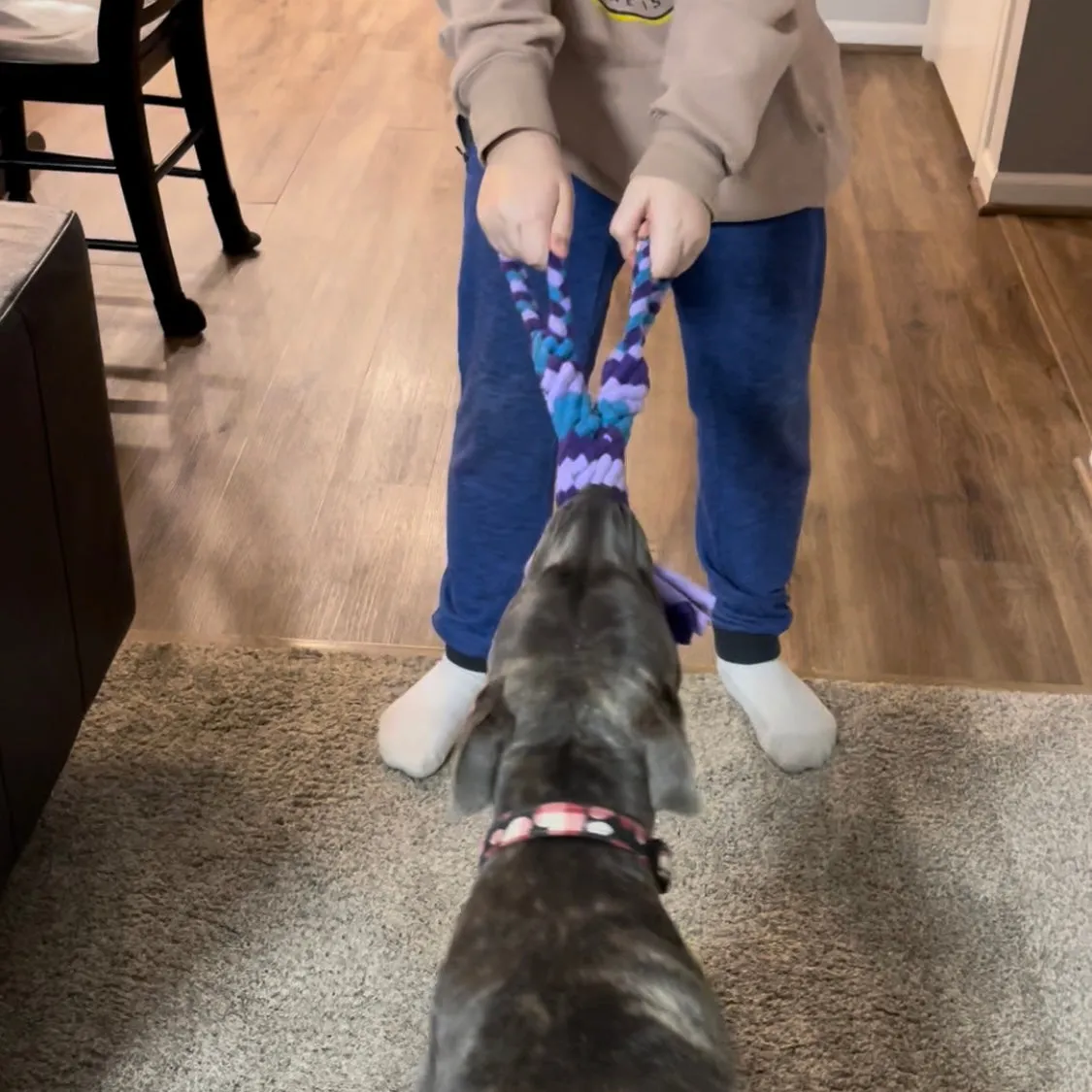 Two Hand Tug