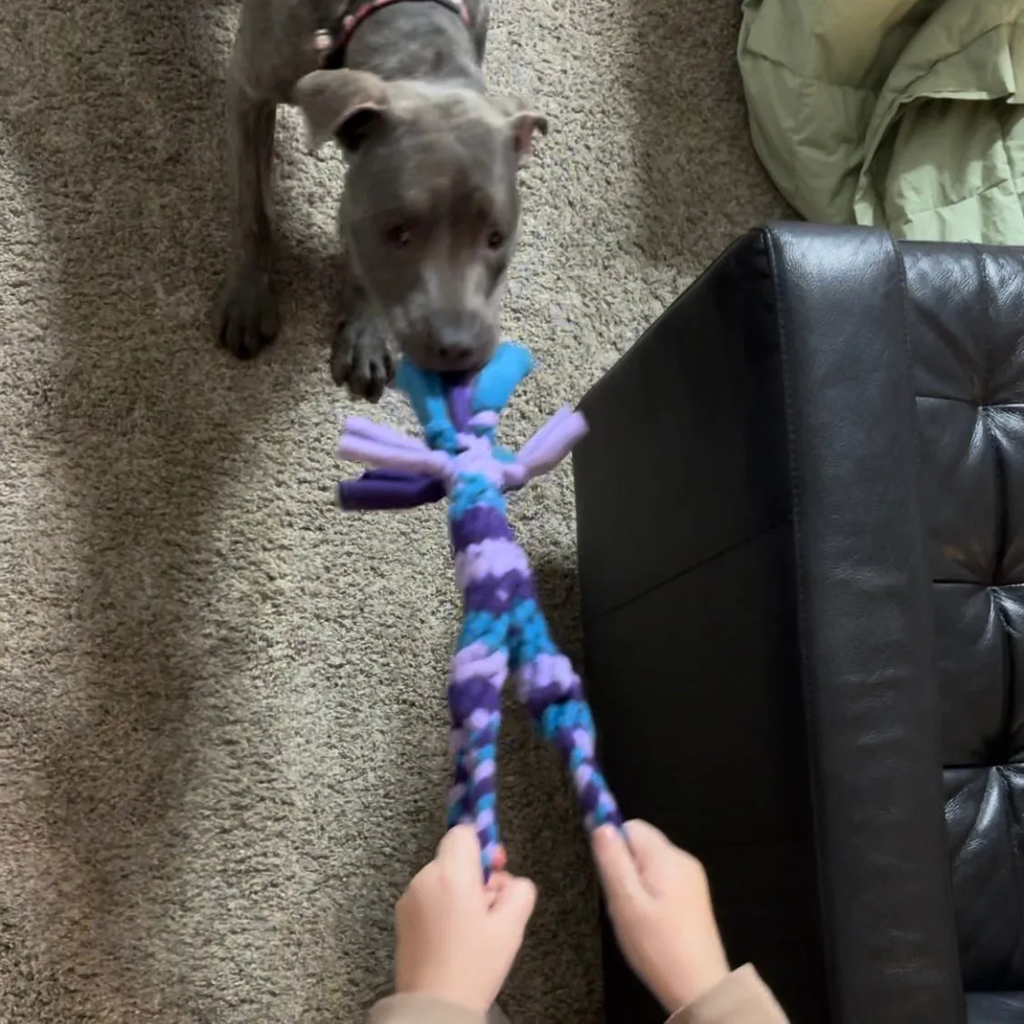Two Hand Tug