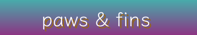 Aquatic & Pet Play Essentials | Aquariums, Agility Kits, Marina & Aqueon Brands